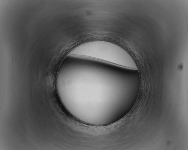 X0000100750031200806190834