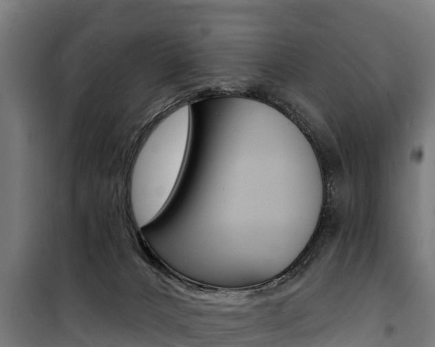 X0000100750032200806190834