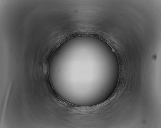 X0000100750033200806190834