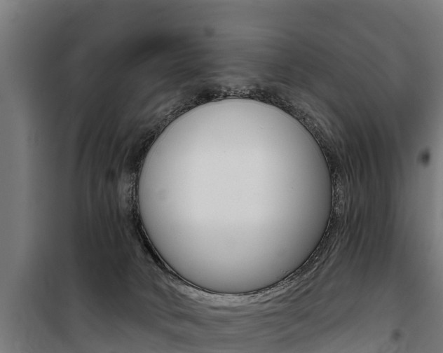 X0000100750034200806190834