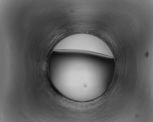 X0000100750035200806190834