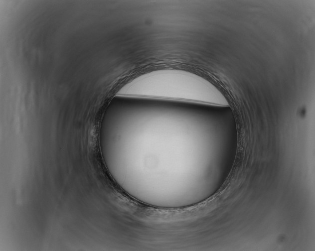 X0000100750037200806190834