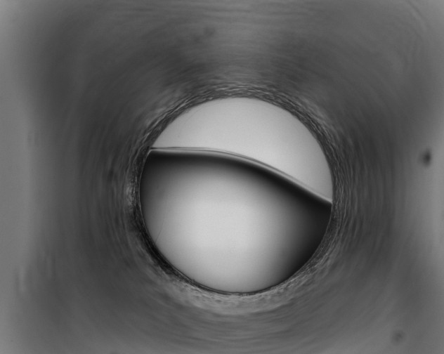 X0000100750039200806190834