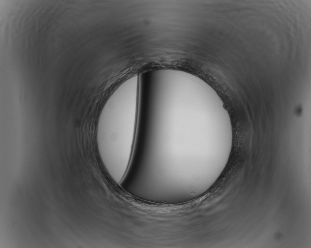 X0000100750040200806190834
