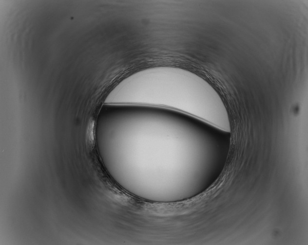 X0000100750041200806190834