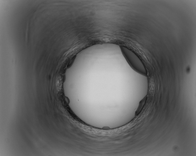 X0000100750043200806190834