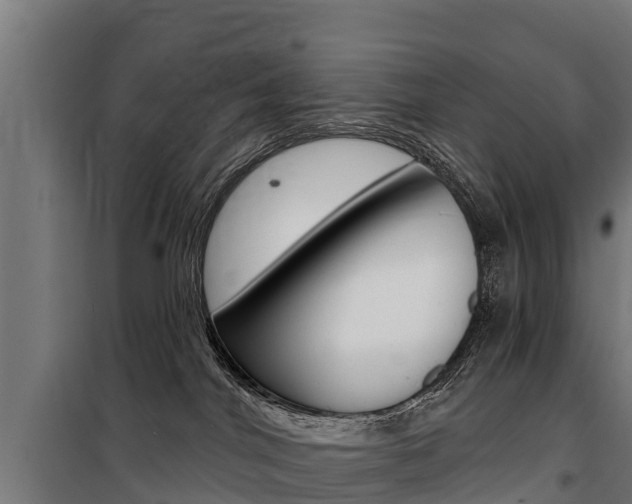 X0000100750044200806190834