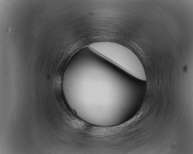 X0000100750045200806190834