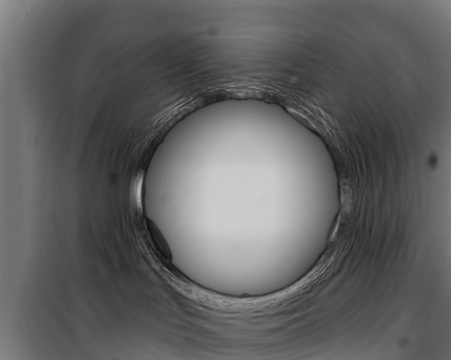 X0000100750047200806190834