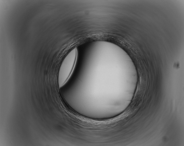 X0000100750048200806190834