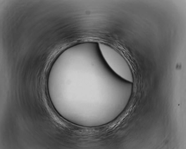 X0000100750049200806190833
