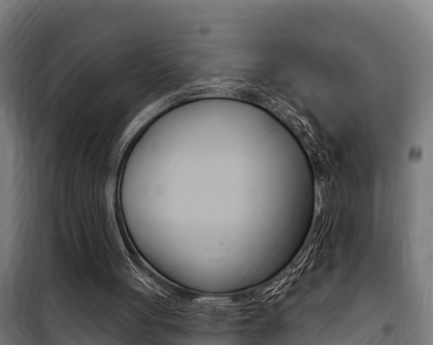X0000100750051200806190833