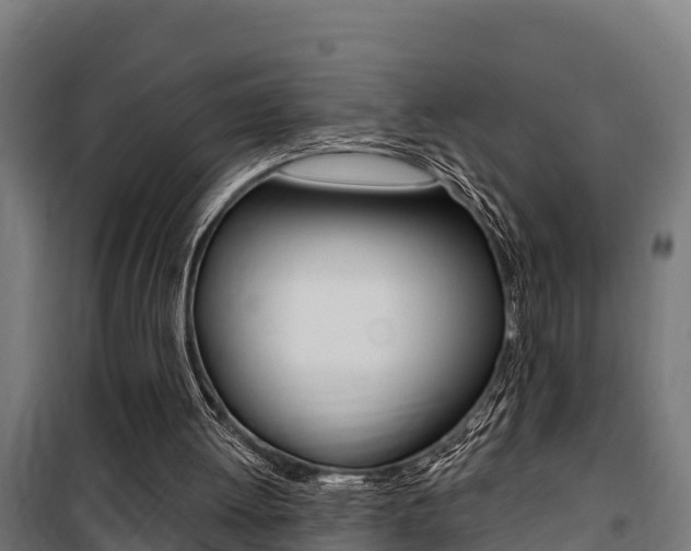 X0000100750052200806190833