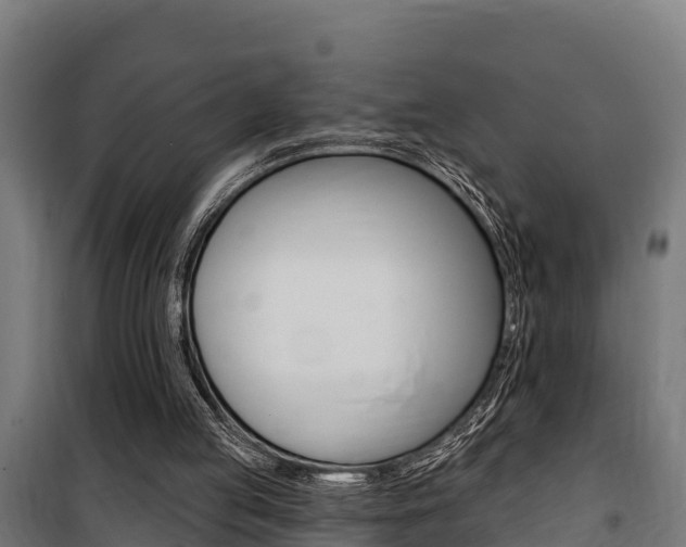 X0000100750053200806190833