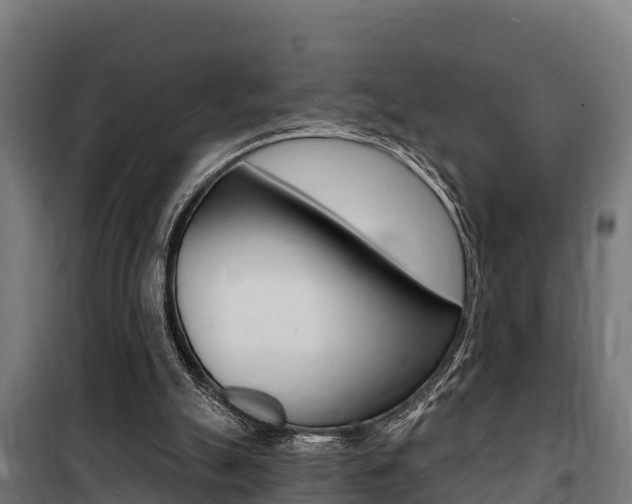 X0000100750055200806190833