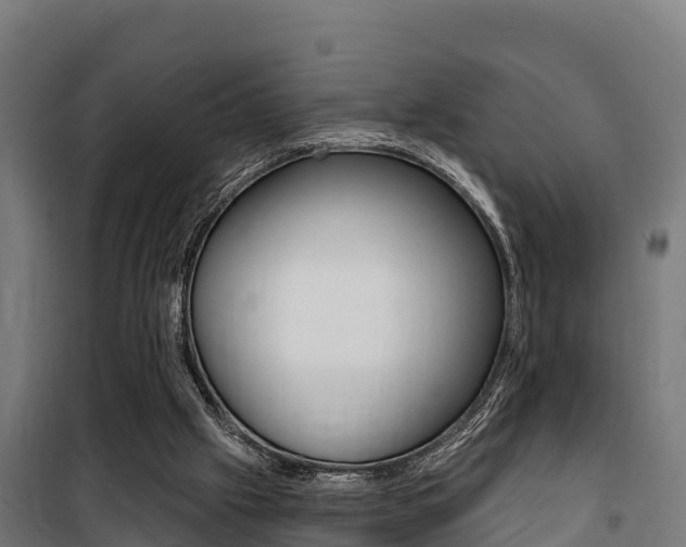 X0000100750057200806190833