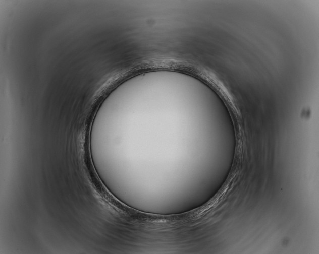 X0000100750058200806190833