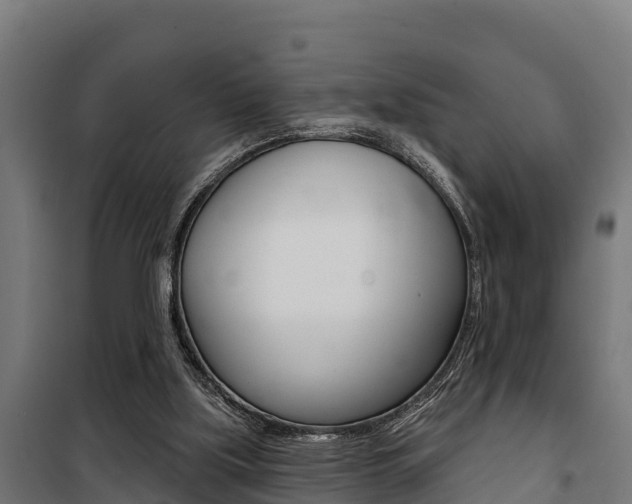 X0000100750059200806190833