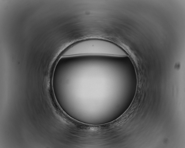 X0000100750060200806190833