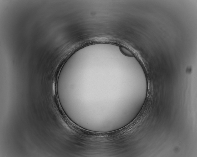 X0000100750061200806190833