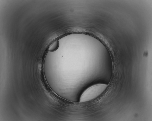 X0000100750063200806190833