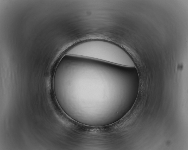 X0000100750064200806190833