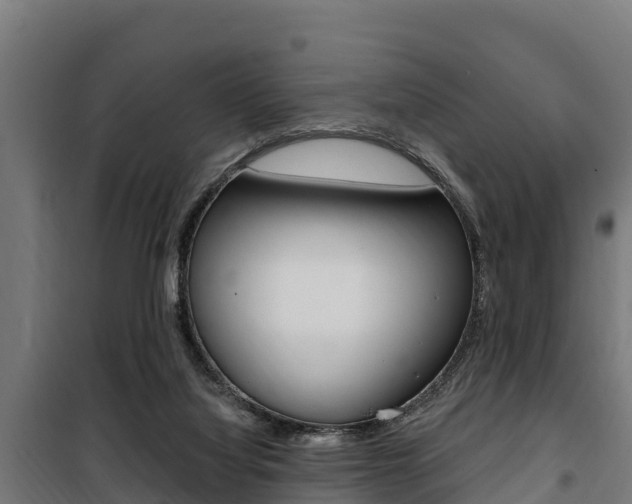X0000100750068200806190833