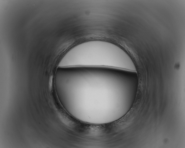 X0000100750070200806190833