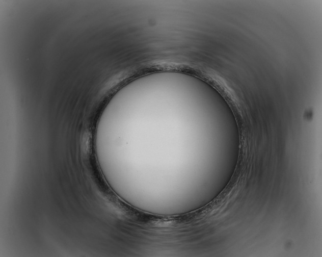 X0000100750071200806190833