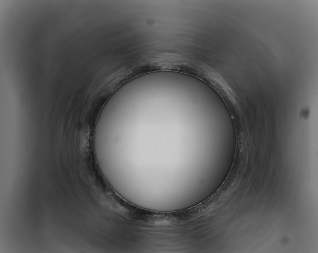 X0000100750073200806190833