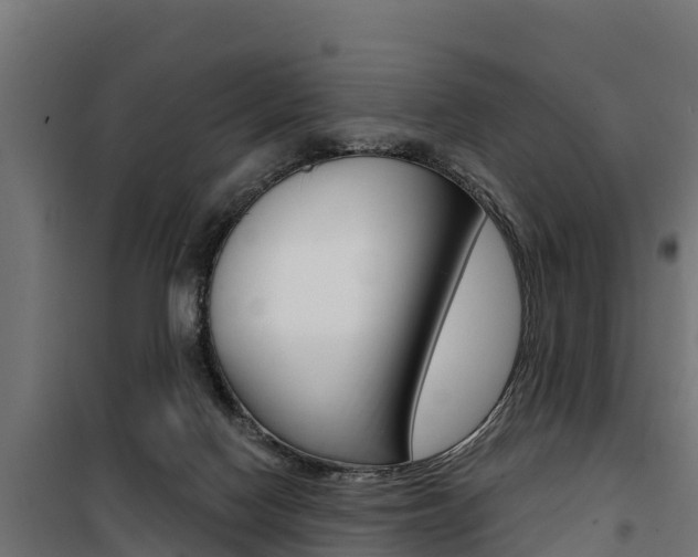 X0000100750074200806190833