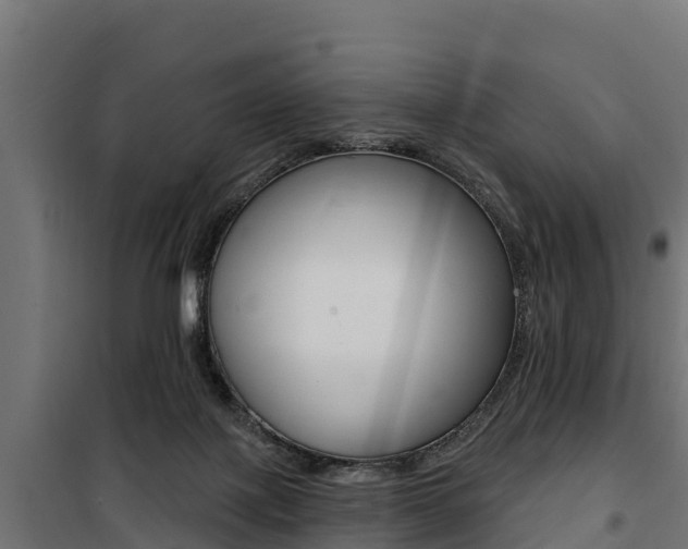 X0000100750075200806190833
