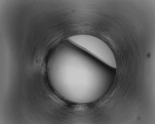 X0000100750077200806190833