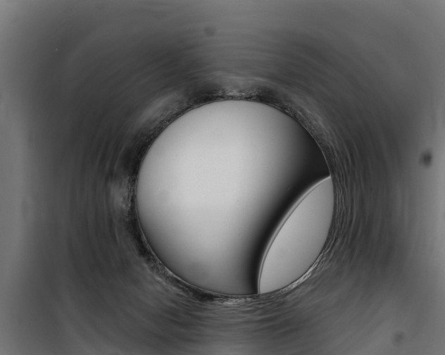 X0000100750078200806190833