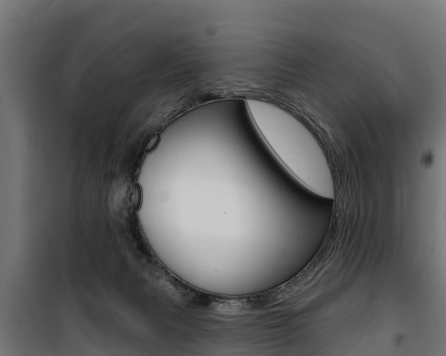 X0000100750079200806190833