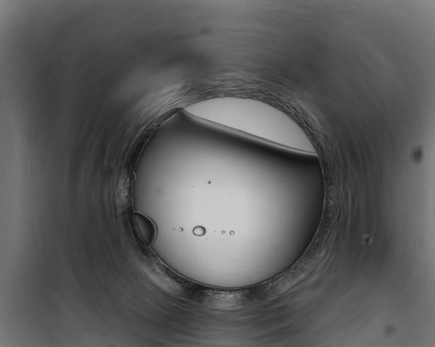 X0000100750081200806190833