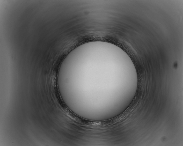 X0000100750083200806190833
