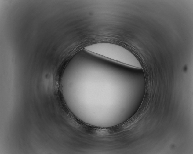 X0000100750085200806190833