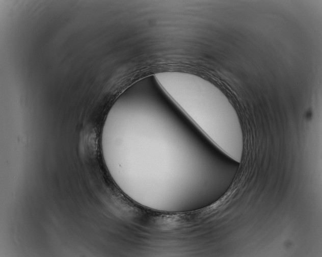 X0000100750086200806190833