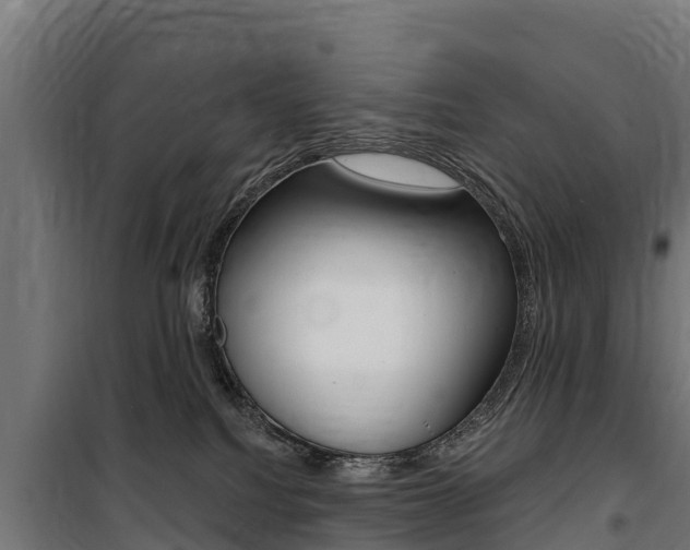 X0000100750088200806190833