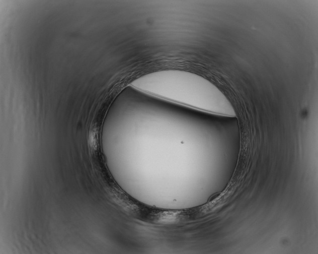 X0000100750090200806190833