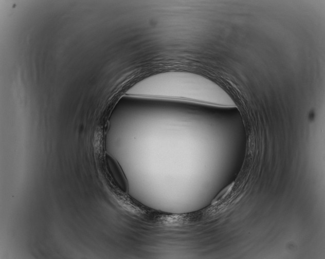 X0000100750092200806190833