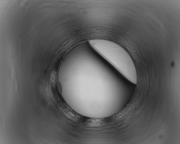 X0000100750093200806190834