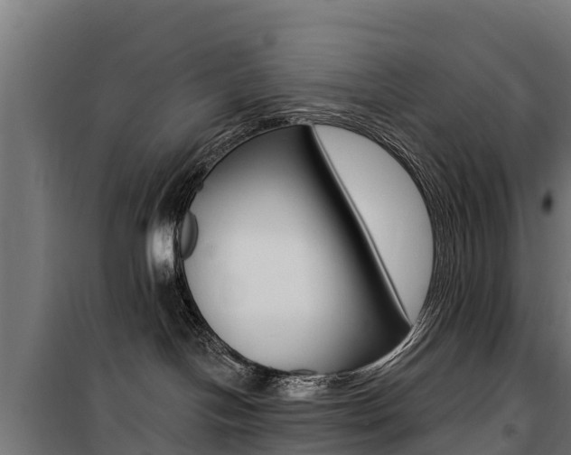 X0000100750094200806190834