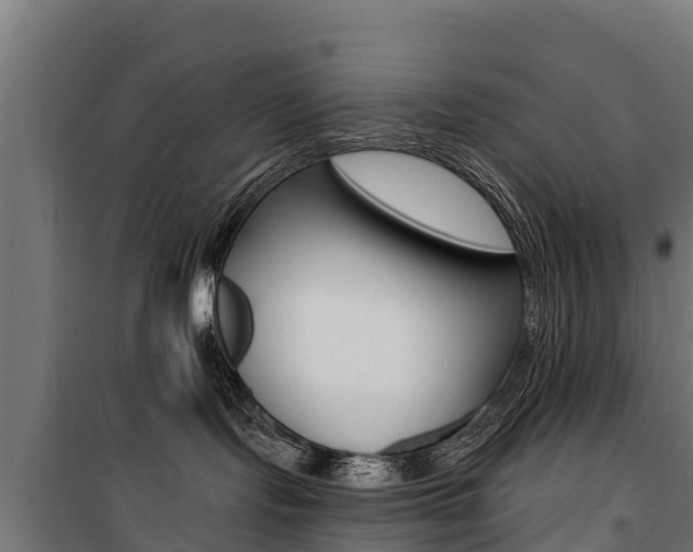 X0000100750095200806190834