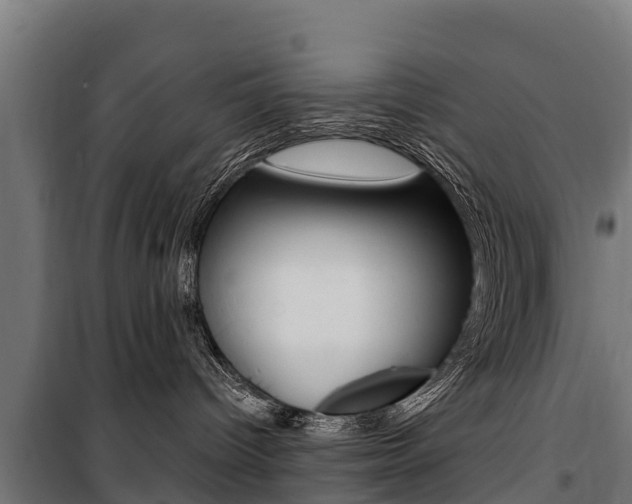 X0000100750096200806190834