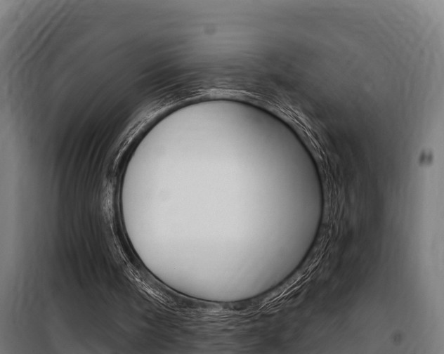 X0000100750098200806190833