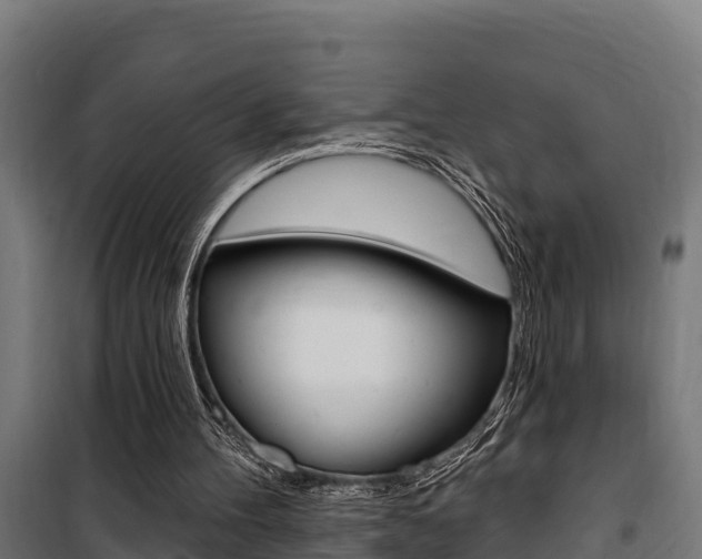 X0000100750100200806190833