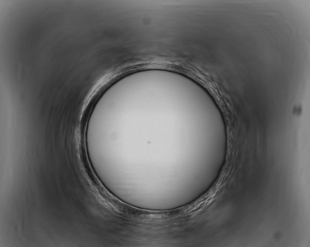 X0000100750102200806190833