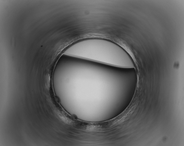 X0000100750109200806190833